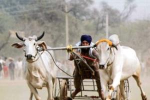 ਅੱਜ ਤੋਂ ਲੁਧਿਆਣਾ ਦੇ ‘ਕਿਲਾ ਰਾਏਪੁਰ ਪੇਂਡੂ ਓਲੰਪਿਕ’ ਖੇਡਾਂ ਦੀ ਸ਼ੁਰੂਆਤ ਹੋਣ ਜਾ ਰਹੀ ਹੈ 